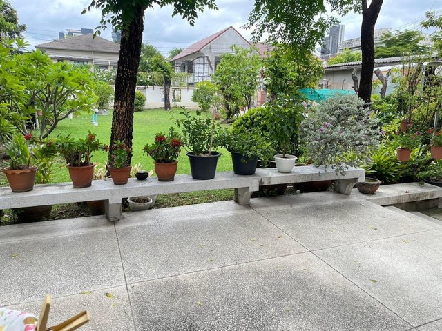 ประกาศฟรี! ซื้อ-ขาย-เช่า คอนโด บ้าน ทาวน์โฮม ที่ดิน และพื้นที่เชิงพาณิชย์ทั่วประเทศไทย ทุกทำเล ทุกงบประมาณ ไม่มีค่าใช้จ่าย ลงง่าย ขายไว เข้าถึงผู้ซื้อโดยตรง 3 482965pic2.jpg