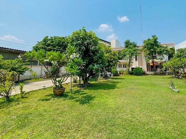 ประกาศฟรี! ซื้อ-ขาย-เช่า คอนโด บ้าน ทาวน์โฮม ที่ดิน และพื้นที่เชิงพาณิชย์ทั่วประเทศไทย ทุกทำเล ทุกงบประมาณ ไม่มีค่าใช้จ่าย ลงง่าย ขายไว เข้าถึงผู้ซื้อโดยตรง 5 482965pic4.jpg