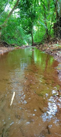 ประกาศฟรี! ซื้อ-ขาย-เช่า คอนโด บ้าน ทาวน์โฮม ที่ดิน และพื้นที่เชิงพาณิชย์ทั่วประเทศไทย ทุกทำเล ทุกงบประมาณ ไม่มีค่าใช้จ่าย ลงง่าย ขายไว เข้าถึงผู้ซื้อโดยตรง 2 184331pic1.jpg