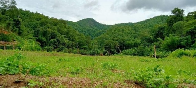 ประกาศฟรี! ซื้อ-ขาย-เช่า คอนโด บ้าน ทาวน์โฮม ที่ดิน และพื้นที่เชิงพาณิชย์ทั่วประเทศไทย ทุกทำเล ทุกงบประมาณ ไม่มีค่าใช้จ่าย ลงง่าย ขายไว เข้าถึงผู้ซื้อโดยตรง 3 184331pic2.jpg