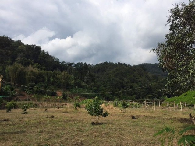 ประกาศฟรี! ซื้อ-ขาย-เช่า คอนโด บ้าน ทาวน์โฮม ที่ดิน และพื้นที่เชิงพาณิชย์ทั่วประเทศไทย ทุกทำเล ทุกงบประมาณ ไม่มีค่าใช้จ่าย ลงง่าย ขายไว เข้าถึงผู้ซื้อโดยตรง 4 184331pic3.jpg