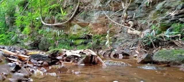 ประกาศฟรี! ซื้อ-ขาย-เช่า คอนโด บ้าน ทาวน์โฮม ที่ดิน และพื้นที่เชิงพาณิชย์ทั่วประเทศไทย ทุกทำเล ทุกงบประมาณ ไม่มีค่าใช้จ่าย ลงง่าย ขายไว เข้าถึงผู้ซื้อโดยตรง 5 184331pic4.jpg