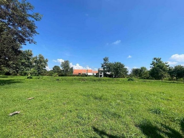 ประกาศฟรี! ซื้อ-ขาย-เช่า คอนโด บ้าน ทาวน์โฮม ที่ดิน และพื้นที่เชิงพาณิชย์ทั่วประเทศไทย ทุกทำเล ทุกงบประมาณ ไม่มีค่าใช้จ่าย ลงง่าย ขายไว เข้าถึงผู้ซื้อโดยตรง 2 184330pic1.jpg