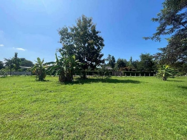 ประกาศฟรี! ซื้อ-ขาย-เช่า คอนโด บ้าน ทาวน์โฮม ที่ดิน และพื้นที่เชิงพาณิชย์ทั่วประเทศไทย ทุกทำเล ทุกงบประมาณ ไม่มีค่าใช้จ่าย ลงง่าย ขายไว เข้าถึงผู้ซื้อโดยตรง 3 184330pic2.jpg