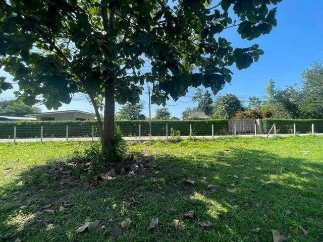 ประกาศฟรี! ซื้อ-ขาย-เช่า คอนโด บ้าน ทาวน์โฮม ที่ดิน และพื้นที่เชิงพาณิชย์ทั่วประเทศไทย ทุกทำเล ทุกงบประมาณ ไม่มีค่าใช้จ่าย ลงง่าย ขายไว เข้าถึงผู้ซื้อโดยตรง 4 184330pic3.jpg