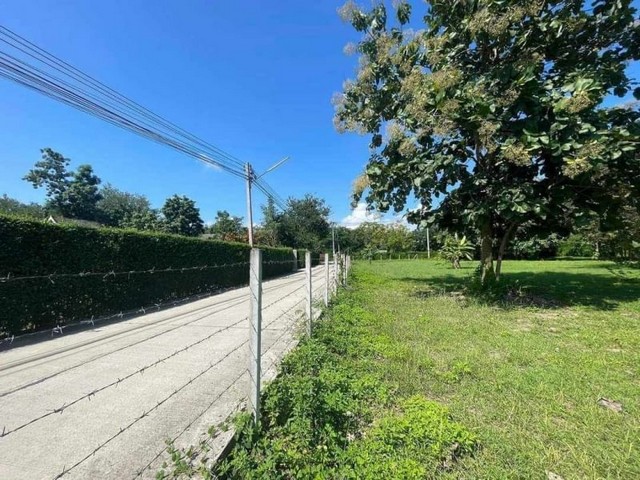 ประกาศฟรี! ซื้อ-ขาย-เช่า คอนโด บ้าน ทาวน์โฮม ที่ดิน และพื้นที่เชิงพาณิชย์ทั่วประเทศไทย ทุกทำเล ทุกงบประมาณ ไม่มีค่าใช้จ่าย ลงง่าย ขายไว เข้าถึงผู้ซื้อโดยตรง 5 184330pic4.jpg