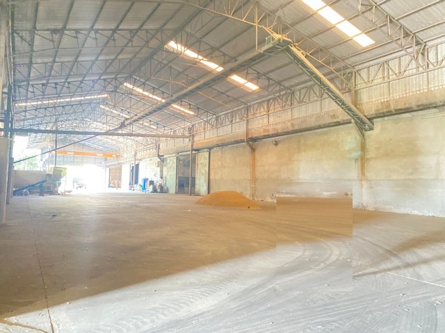 ประกาศฟรี! ซื้อ-ขาย-เช่า คอนโด บ้าน ทาวน์โฮม ที่ดิน และพื้นที่เชิงพาณิชย์ทั่วประเทศไทย ทุกทำเล ทุกงบประมาณ ไม่มีค่าใช้จ่าย ลงง่าย ขายไว เข้าถึงผู้ซื้อโดยตรง 2 483710pic1.jpg