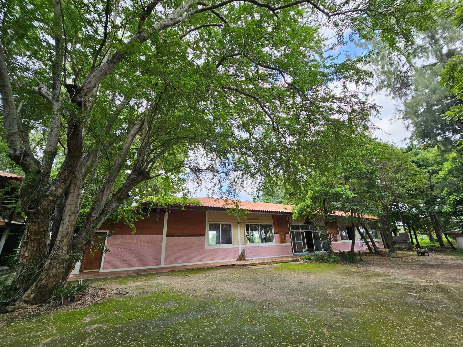 ประกาศฟรี! ซื้อ-ขาย-เช่า คอนโด บ้าน ทาวน์โฮม ที่ดิน และพื้นที่เชิงพาณิชย์ทั่วประเทศไทย ทุกทำเล ทุกงบประมาณ ไม่มีค่าใช้จ่าย ลงง่าย ขายไว เข้าถึงผู้ซื้อโดยตรง 3 283282pic2.jpg