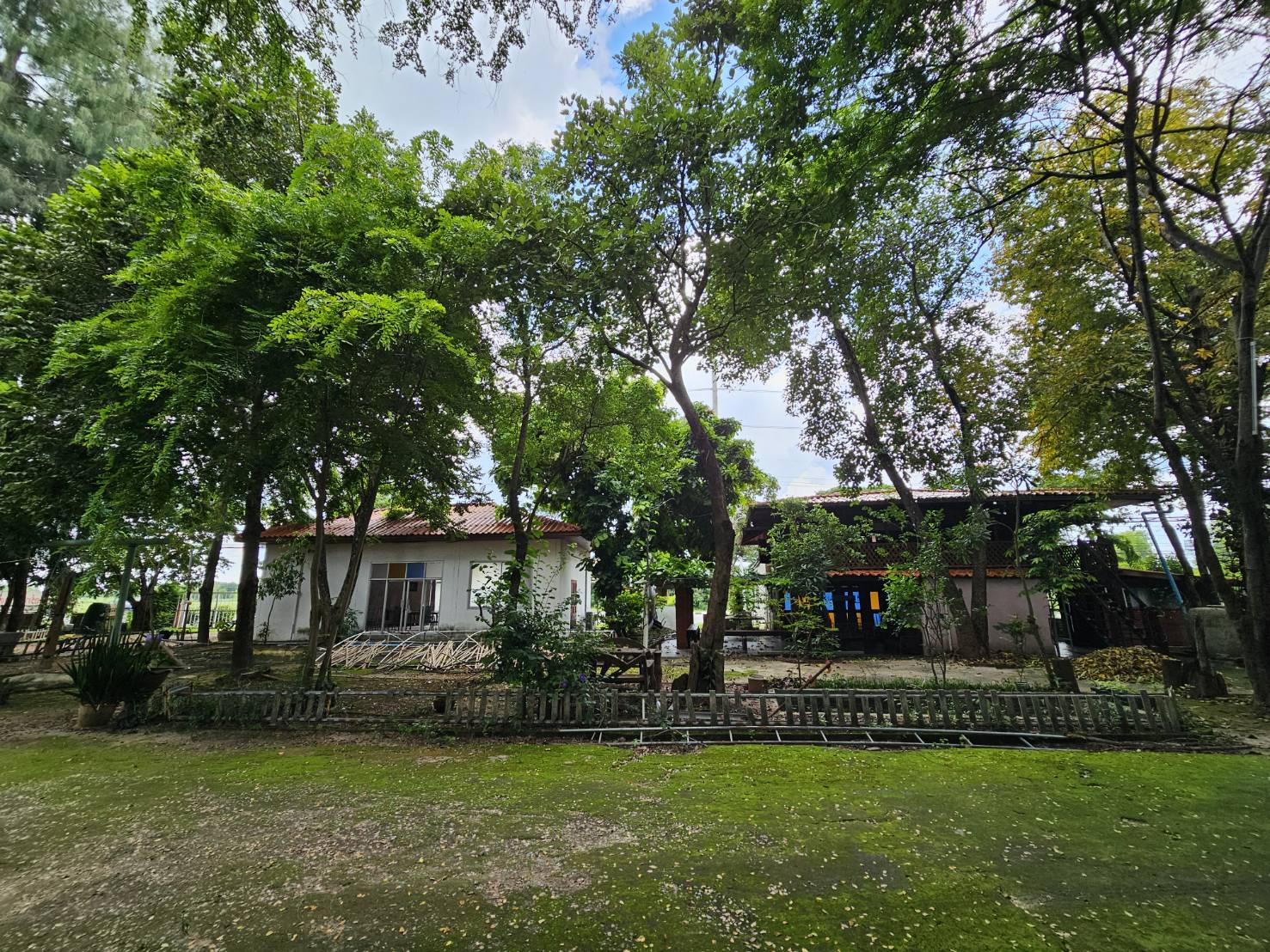 ประกาศฟรี! ซื้อ-ขาย-เช่า คอนโด บ้าน ทาวน์โฮม ที่ดิน และพื้นที่เชิงพาณิชย์ทั่วประเทศไทย ทุกทำเล ทุกงบประมาณ ไม่มีค่าใช้จ่าย ลงง่าย ขายไว เข้าถึงผู้ซื้อโดยตรง 4 283282pic3.jpg