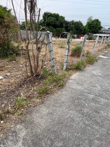 ประกาศฟรี! ซื้อ-ขาย-เช่า คอนโด บ้าน ทาวน์โฮม ที่ดิน และพื้นที่เชิงพาณิชย์ทั่วประเทศไทย ทุกทำเล ทุกงบประมาณ ไม่มีค่าใช้จ่าย ลงง่าย ขายไว เข้าถึงผู้ซื้อโดยตรง 3 468864pic2.jpg