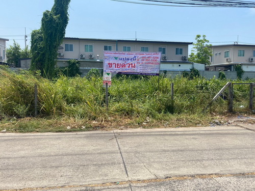 ประกาศฟรี! ซื้อ-ขาย-เช่า คอนโด บ้าน ทาวน์โฮม ที่ดิน และพื้นที่เชิงพาณิชย์ทั่วประเทศไทย ทุกทำเล ทุกงบประมาณ ไม่มีค่าใช้จ่าย ลงง่าย ขายไว เข้าถึงผู้ซื้อโดยตรง 2 468558pic1.jpg