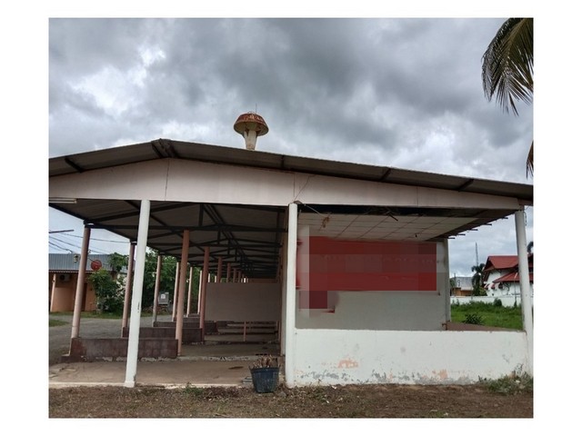 ประกาศฟรี! ซื้อ-ขาย-เช่า คอนโด บ้าน ทาวน์โฮม ที่ดิน และพื้นที่เชิงพาณิชย์ทั่วประเทศไทย ทุกทำเล ทุกงบประมาณ ไม่มีค่าใช้จ่าย ลงง่าย ขายไว เข้าถึงผู้ซื้อโดยตรง 2 191969pic1.jpg