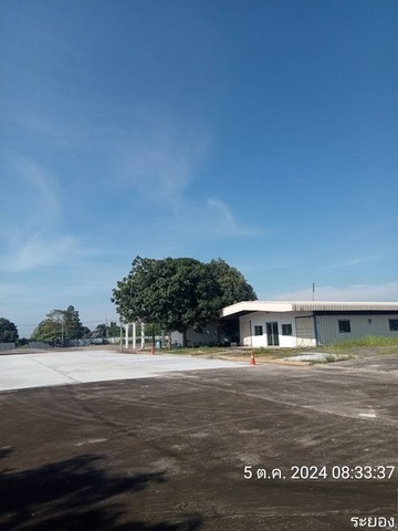 ประกาศฟรี! ซื้อ-ขาย-เช่า คอนโด บ้าน ทาวน์โฮม ที่ดิน และพื้นที่เชิงพาณิชย์ทั่วประเทศไทย ทุกทำเล ทุกงบประมาณ ไม่มีค่าใช้จ่าย ลงง่าย ขายไว เข้าถึงผู้ซื้อโดยตรง 4 487261pic3.jpg