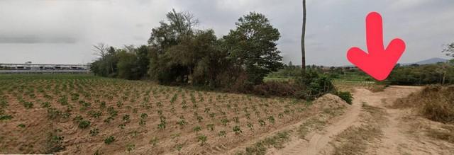 ประกาศฟรี! ซื้อ-ขาย-เช่า คอนโด บ้าน ทาวน์โฮม ที่ดิน และพื้นที่เชิงพาณิชย์ทั่วประเทศไทย ทุกทำเล ทุกงบประมาณ ไม่มีค่าใช้จ่าย ลงง่าย ขายไว เข้าถึงผู้ซื้อโดยตรง 3 487260pic2.jpg