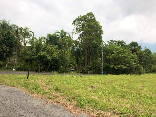 ประกาศฟรี! ซื้อ-ขาย-เช่า คอนโด บ้าน ทาวน์โฮม ที่ดิน และพื้นที่เชิงพาณิชย์ทั่วประเทศไทย ทุกทำเล ทุกงบประมาณ ไม่มีค่าใช้จ่าย ลงง่าย ขายไว เข้าถึงผู้ซื้อโดยตรง 2 487258pic1.jpg