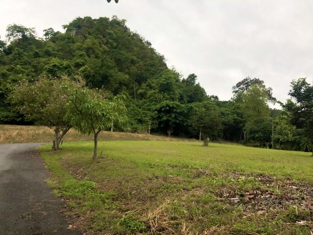 ประกาศฟรี! ซื้อ-ขาย-เช่า คอนโด บ้าน ทาวน์โฮม ที่ดิน และพื้นที่เชิงพาณิชย์ทั่วประเทศไทย ทุกทำเล ทุกงบประมาณ ไม่มีค่าใช้จ่าย ลงง่าย ขายไว เข้าถึงผู้ซื้อโดยตรง 3 487258pic2.jpg