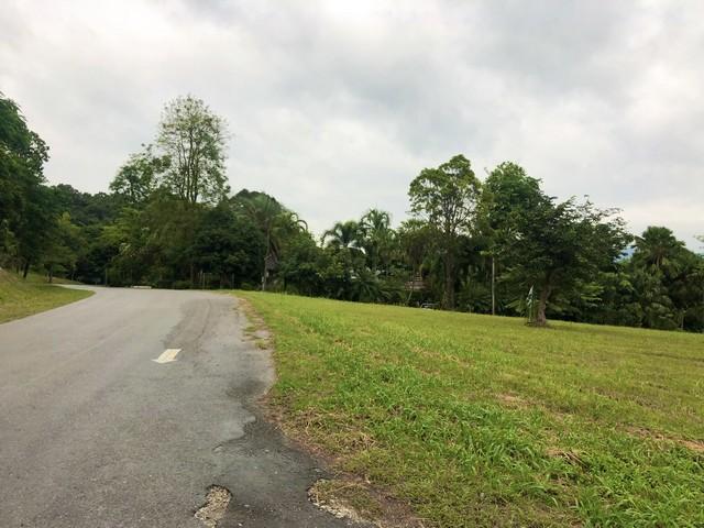 ประกาศฟรี! ซื้อ-ขาย-เช่า คอนโด บ้าน ทาวน์โฮม ที่ดิน และพื้นที่เชิงพาณิชย์ทั่วประเทศไทย ทุกทำเล ทุกงบประมาณ ไม่มีค่าใช้จ่าย ลงง่าย ขายไว เข้าถึงผู้ซื้อโดยตรง 4 487258pic3.jpg