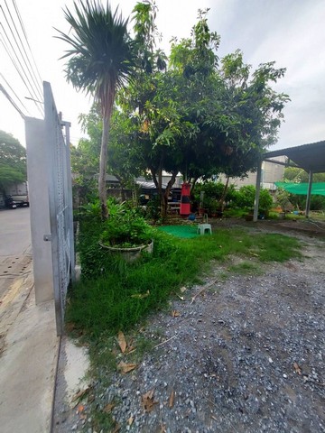 ประกาศฟรี! ซื้อ-ขาย-เช่า คอนโด บ้าน ทาวน์โฮม ที่ดิน และพื้นที่เชิงพาณิชย์ทั่วประเทศไทย ทุกทำเล ทุกงบประมาณ ไม่มีค่าใช้จ่าย ลงง่าย ขายไว เข้าถึงผู้ซื้อโดยตรง 5 487317pic4.jpg