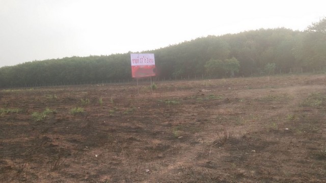 ประกาศฟรี! ซื้อ-ขาย-เช่า คอนโด บ้าน ทาวน์โฮม ที่ดิน และพื้นที่เชิงพาณิชย์ทั่วประเทศไทย ทุกทำเล ทุกงบประมาณ ไม่มีค่าใช้จ่าย ลงง่าย ขายไว เข้าถึงผู้ซื้อโดยตรง 2 264523pic1.jpg