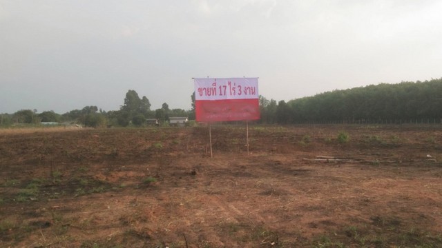 ประกาศฟรี! ซื้อ-ขาย-เช่า คอนโด บ้าน ทาวน์โฮม ที่ดิน และพื้นที่เชิงพาณิชย์ทั่วประเทศไทย ทุกทำเล ทุกงบประมาณ ไม่มีค่าใช้จ่าย ลงง่าย ขายไว เข้าถึงผู้ซื้อโดยตรง 4 264523pic3.jpg