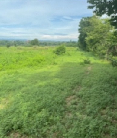 ประกาศฟรี! ซื้อ-ขาย-เช่า คอนโด บ้าน ทาวน์โฮม ที่ดิน และพื้นที่เชิงพาณิชย์ทั่วประเทศไทย ทุกทำเล ทุกงบประมาณ ไม่มีค่าใช้จ่าย ลงง่าย ขายไว เข้าถึงผู้ซื้อโดยตรง 3 285952pic2.jpg