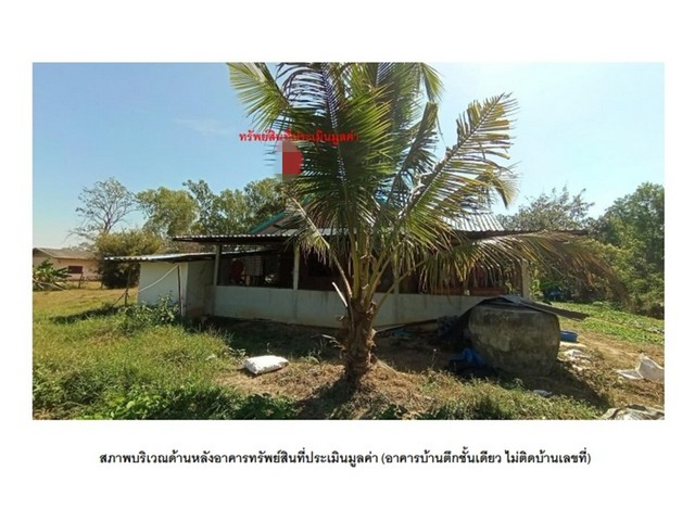 ประกาศฟรี! ซื้อ-ขาย-เช่า คอนโด บ้าน ทาวน์โฮม ที่ดิน และพื้นที่เชิงพาณิชย์ทั่วประเทศไทย ทุกทำเล ทุกงบประมาณ ไม่มีค่าใช้จ่าย ลงง่าย ขายไว เข้าถึงผู้ซื้อโดยตรง 5 193315pic4.jpg