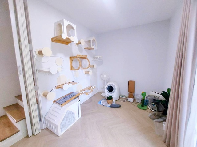 ประกาศฟรี! ซื้อ-ขาย-เช่า คอนโด บ้าน ทาวน์โฮม ที่ดิน และพื้นที่เชิงพาณิชย์ทั่วประเทศไทย ทุกทำเล ทุกงบประมาณ ไม่มีค่าใช้จ่าย ลงง่าย ขายไว เข้าถึงผู้ซื้อโดยตรง 4 195122pic3.jpg