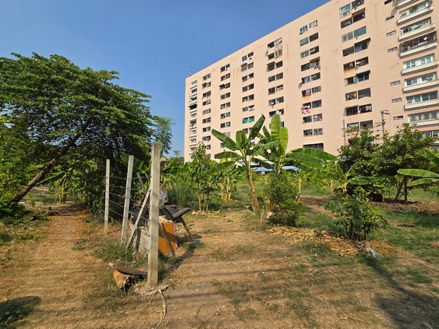 ประกาศฟรี! ซื้อ-ขาย-เช่า คอนโด บ้าน ทาวน์โฮม ที่ดิน และพื้นที่เชิงพาณิชย์ทั่วประเทศไทย ทุกทำเล ทุกงบประมาณ ไม่มีค่าใช้จ่าย ลงง่าย ขายไว เข้าถึงผู้ซื้อโดยตรง 4 288284pic3.jpg