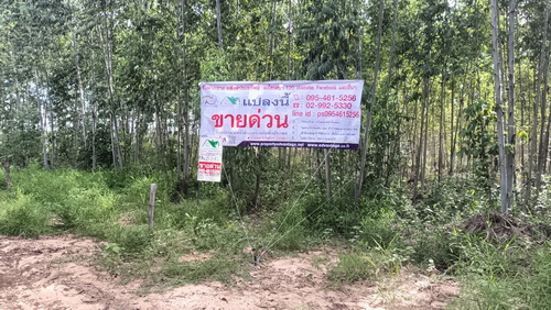 ประกาศฟรี! ซื้อ-ขาย-เช่า คอนโด บ้าน ทาวน์โฮม ที่ดิน และพื้นที่เชิงพาณิชย์ทั่วประเทศไทย ทุกทำเล ทุกงบประมาณ ไม่มีค่าใช้จ่าย ลงง่าย ขายไว เข้าถึงผู้ซื้อโดยตรง 2 469271pic1.jpg