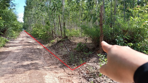 ประกาศฟรี! ซื้อ-ขาย-เช่า คอนโด บ้าน ทาวน์โฮม ที่ดิน และพื้นที่เชิงพาณิชย์ทั่วประเทศไทย ทุกทำเล ทุกงบประมาณ ไม่มีค่าใช้จ่าย ลงง่าย ขายไว เข้าถึงผู้ซื้อโดยตรง 4 469271pic3.jpg