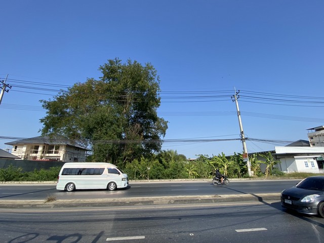 ประกาศฟรี! ซื้อ-ขาย-เช่า คอนโด บ้าน ทาวน์โฮม ที่ดิน และพื้นที่เชิงพาณิชย์ทั่วประเทศไทย ทุกทำเล ทุกงบประมาณ ไม่มีค่าใช้จ่าย ลงง่าย ขายไว เข้าถึงผู้ซื้อโดยตรง 3 488664pic2.jpg