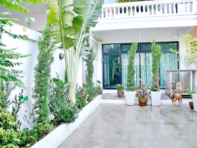 ประกาศฟรี! ซื้อ-ขาย-เช่า คอนโด บ้าน ทาวน์โฮม ที่ดิน และพื้นที่เชิงพาณิชย์ทั่วประเทศไทย ทุกทำเล ทุกงบประมาณ ไม่มีค่าใช้จ่าย ลงง่าย ขายไว เข้าถึงผู้ซื้อโดยตรง 2 196820pic1.jpg