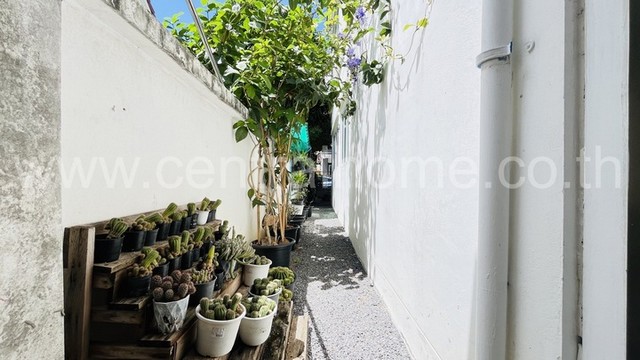 ประกาศฟรี! ซื้อ-ขาย-เช่า คอนโด บ้าน ทาวน์โฮม ที่ดิน และพื้นที่เชิงพาณิชย์ทั่วประเทศไทย ทุกทำเล ทุกงบประมาณ ไม่มีค่าใช้จ่าย ลงง่าย ขายไว เข้าถึงผู้ซื้อโดยตรง 5 272084pic4.jpg