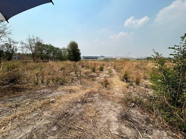 ประกาศฟรี! ซื้อ-ขาย-เช่า คอนโด บ้าน ทาวน์โฮม ที่ดิน และพื้นที่เชิงพาณิชย์ทั่วประเทศไทย ทุกทำเล ทุกงบประมาณ ไม่มีค่าใช้จ่าย ลงง่าย ขายไว เข้าถึงผู้ซื้อโดยตรง 2 288978pic1.jpg