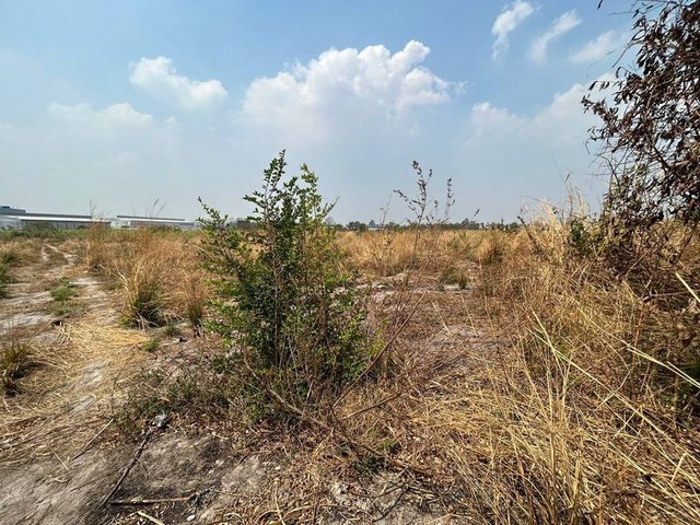 ประกาศฟรี! ซื้อ-ขาย-เช่า คอนโด บ้าน ทาวน์โฮม ที่ดิน และพื้นที่เชิงพาณิชย์ทั่วประเทศไทย ทุกทำเล ทุกงบประมาณ ไม่มีค่าใช้จ่าย ลงง่าย ขายไว เข้าถึงผู้ซื้อโดยตรง 3 288978pic2.jpg