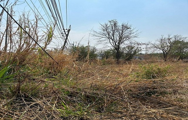 ประกาศฟรี! ซื้อ-ขาย-เช่า คอนโด บ้าน ทาวน์โฮม ที่ดิน และพื้นที่เชิงพาณิชย์ทั่วประเทศไทย ทุกทำเล ทุกงบประมาณ ไม่มีค่าใช้จ่าย ลงง่าย ขายไว เข้าถึงผู้ซื้อโดยตรง 4 288978pic3.jpg