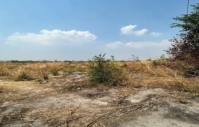 ประกาศฟรี! ซื้อ-ขาย-เช่า คอนโด บ้าน ทาวน์โฮม ที่ดิน และพื้นที่เชิงพาณิชย์ทั่วประเทศไทย ทุกทำเล ทุกงบประมาณ ไม่มีค่าใช้จ่าย ลงง่าย ขายไว เข้าถึงผู้ซื้อโดยตรง 5 288978pic4.jpg