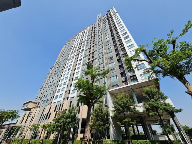 ประกาศฟรี! ซื้อ-ขาย-เช่า คอนโด บ้าน ทาวน์โฮม ที่ดิน และพื้นที่เชิงพาณิชย์ทั่วประเทศไทย ทุกทำเล ทุกงบประมาณ ไม่มีค่าใช้จ่าย ลงง่าย ขายไว เข้าถึงผู้ซื้อโดยตรง 5 190934pic4.jpg