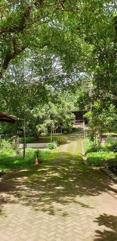 ประกาศฟรี! ซื้อ-ขาย-เช่า คอนโด บ้าน ทาวน์โฮม ที่ดิน และพื้นที่เชิงพาณิชย์ทั่วประเทศไทย ทุกทำเล ทุกงบประมาณ ไม่มีค่าใช้จ่าย ลงง่าย ขายไว เข้าถึงผู้ซื้อโดยตรง 2 197915pic1.jpg