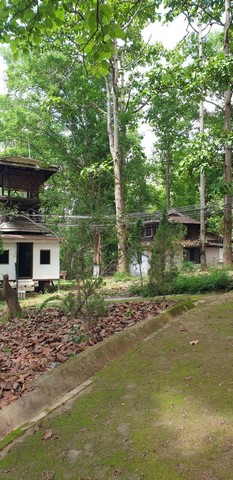 ประกาศฟรี! ซื้อ-ขาย-เช่า คอนโด บ้าน ทาวน์โฮม ที่ดิน และพื้นที่เชิงพาณิชย์ทั่วประเทศไทย ทุกทำเล ทุกงบประมาณ ไม่มีค่าใช้จ่าย ลงง่าย ขายไว เข้าถึงผู้ซื้อโดยตรง 4 197915pic3.jpg