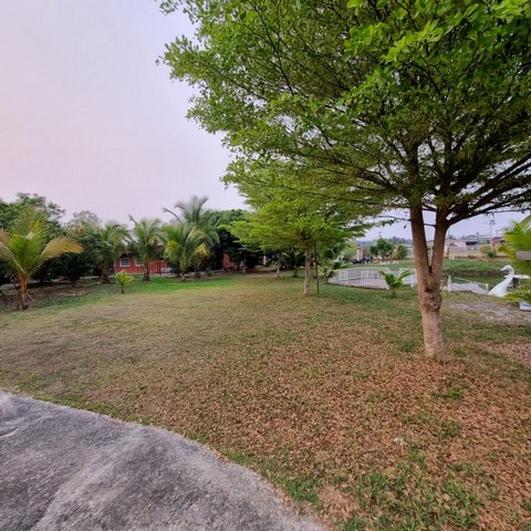 ประกาศฟรี! ซื้อ-ขาย-เช่า คอนโด บ้าน ทาวน์โฮม ที่ดิน และพื้นที่เชิงพาณิชย์ทั่วประเทศไทย ทุกทำเล ทุกงบประมาณ ไม่มีค่าใช้จ่าย ลงง่าย ขายไว เข้าถึงผู้ซื้อโดยตรง 3 197913pic2.jpg