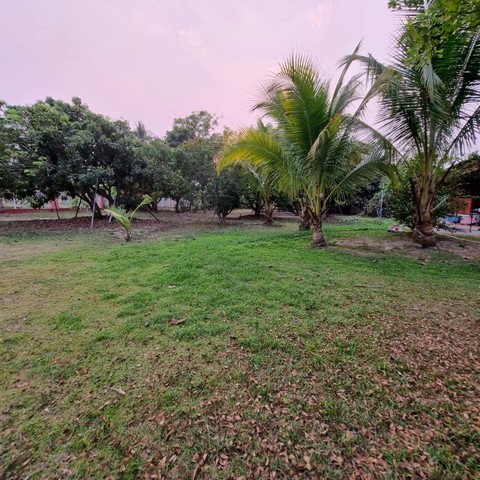 ประกาศฟรี! ซื้อ-ขาย-เช่า คอนโด บ้าน ทาวน์โฮม ที่ดิน และพื้นที่เชิงพาณิชย์ทั่วประเทศไทย ทุกทำเล ทุกงบประมาณ ไม่มีค่าใช้จ่าย ลงง่าย ขายไว เข้าถึงผู้ซื้อโดยตรง 5 197913pic4.jpg