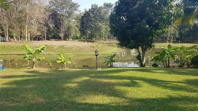 ประกาศฟรี! ซื้อ-ขาย-เช่า คอนโด บ้าน ทาวน์โฮม ที่ดิน และพื้นที่เชิงพาณิชย์ทั่วประเทศไทย ทุกทำเล ทุกงบประมาณ ไม่มีค่าใช้จ่าย ลงง่าย ขายไว เข้าถึงผู้ซื้อโดยตรง 2 197912pic1.jpg