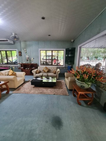 ประกาศฟรี! ซื้อ-ขาย-เช่า คอนโด บ้าน ทาวน์โฮม ที่ดิน และพื้นที่เชิงพาณิชย์ทั่วประเทศไทย ทุกทำเล ทุกงบประมาณ ไม่มีค่าใช้จ่าย ลงง่าย ขายไว เข้าถึงผู้ซื้อโดยตรง 5 197990pic4.jpg