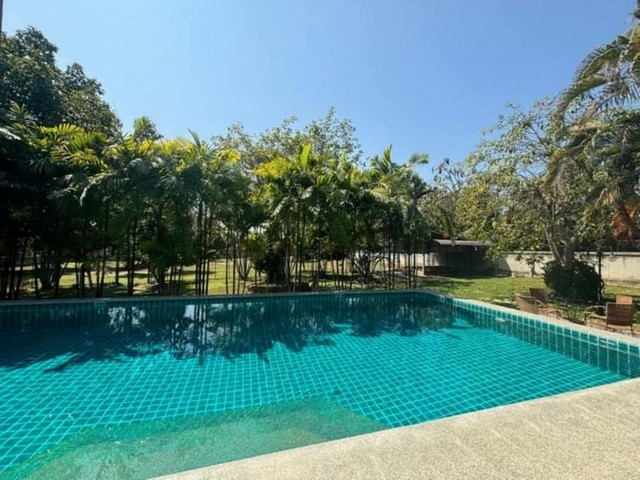 ประกาศฟรี! ซื้อ-ขาย-เช่า คอนโด บ้าน ทาวน์โฮม ที่ดิน และพื้นที่เชิงพาณิชย์ทั่วประเทศไทย ทุกทำเล ทุกงบประมาณ ไม่มีค่าใช้จ่าย ลงง่าย ขายไว เข้าถึงผู้ซื้อโดยตรง 2 197978pic1.jpg