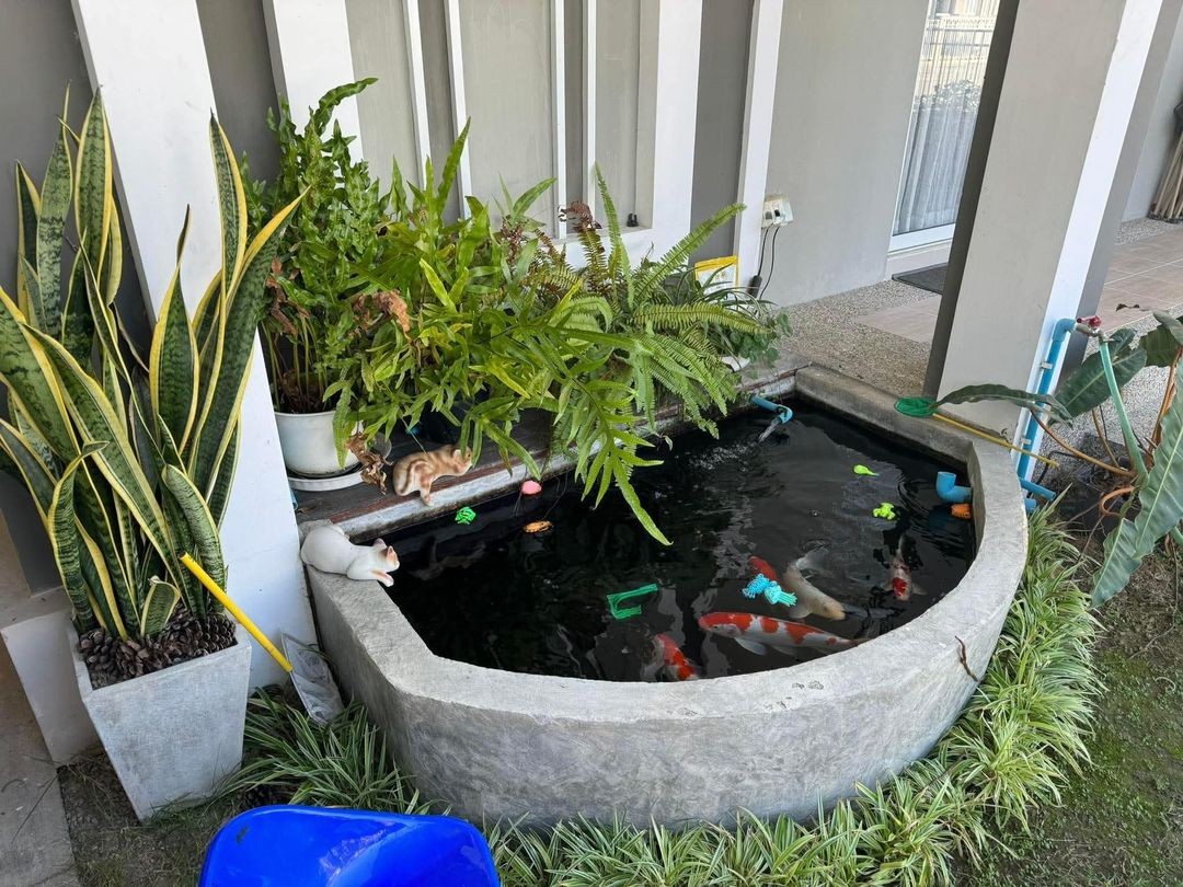 ประกาศฟรี! ซื้อ-ขาย-เช่า คอนโด บ้าน ทาวน์โฮม ที่ดิน และพื้นที่เชิงพาณิชย์ทั่วประเทศไทย ทุกทำเล ทุกงบประมาณ ไม่มีค่าใช้จ่าย ลงง่าย ขายไว เข้าถึงผู้ซื้อโดยตรง 3 198073pic2.jpg