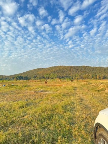 ประกาศฟรี! ซื้อ-ขาย-เช่า คอนโด บ้าน ทาวน์โฮม ที่ดิน และพื้นที่เชิงพาณิชย์ทั่วประเทศไทย ทุกทำเล ทุกงบประมาณ ไม่มีค่าใช้จ่าย ลงง่าย ขายไว เข้าถึงผู้ซื้อโดยตรง 2 198143pic1.jpg