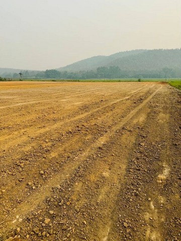 ประกาศฟรี! ซื้อ-ขาย-เช่า คอนโด บ้าน ทาวน์โฮม ที่ดิน และพื้นที่เชิงพาณิชย์ทั่วประเทศไทย ทุกทำเล ทุกงบประมาณ ไม่มีค่าใช้จ่าย ลงง่าย ขายไว เข้าถึงผู้ซื้อโดยตรง 3 198143pic2.jpg