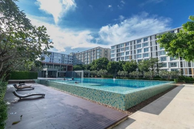 ประกาศฟรี! ซื้อ-ขาย-เช่า คอนโด บ้าน ทาวน์โฮม ที่ดิน และพื้นที่เชิงพาณิชย์ทั่วประเทศไทย ทุกทำเล ทุกงบประมาณ ไม่มีค่าใช้จ่าย ลงง่าย ขายไว เข้าถึงผู้ซื้อโดยตรง 2 198141pic1.jpg