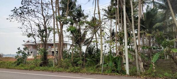 ประกาศฟรี! ซื้อ-ขาย-เช่า คอนโด บ้าน ทาวน์โฮม ที่ดิน และพื้นที่เชิงพาณิชย์ทั่วประเทศไทย ทุกทำเล ทุกงบประมาณ ไม่มีค่าใช้จ่าย ลงง่าย ขายไว เข้าถึงผู้ซื้อโดยตรง 2 289029pic1.jpg